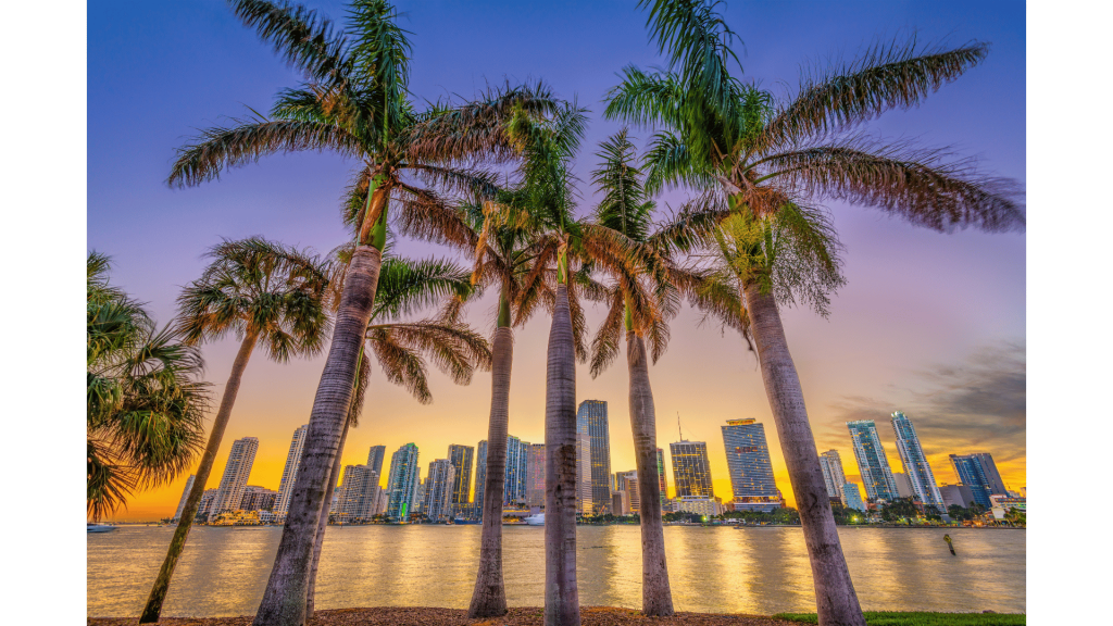 Florida palm trees in foreground with a colorful metropolitan skyline and water reflection at sunset.