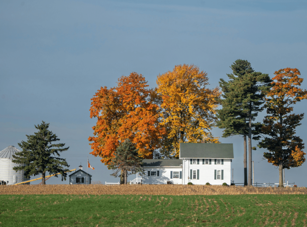 house in indiana with white walls and trees in fall colors