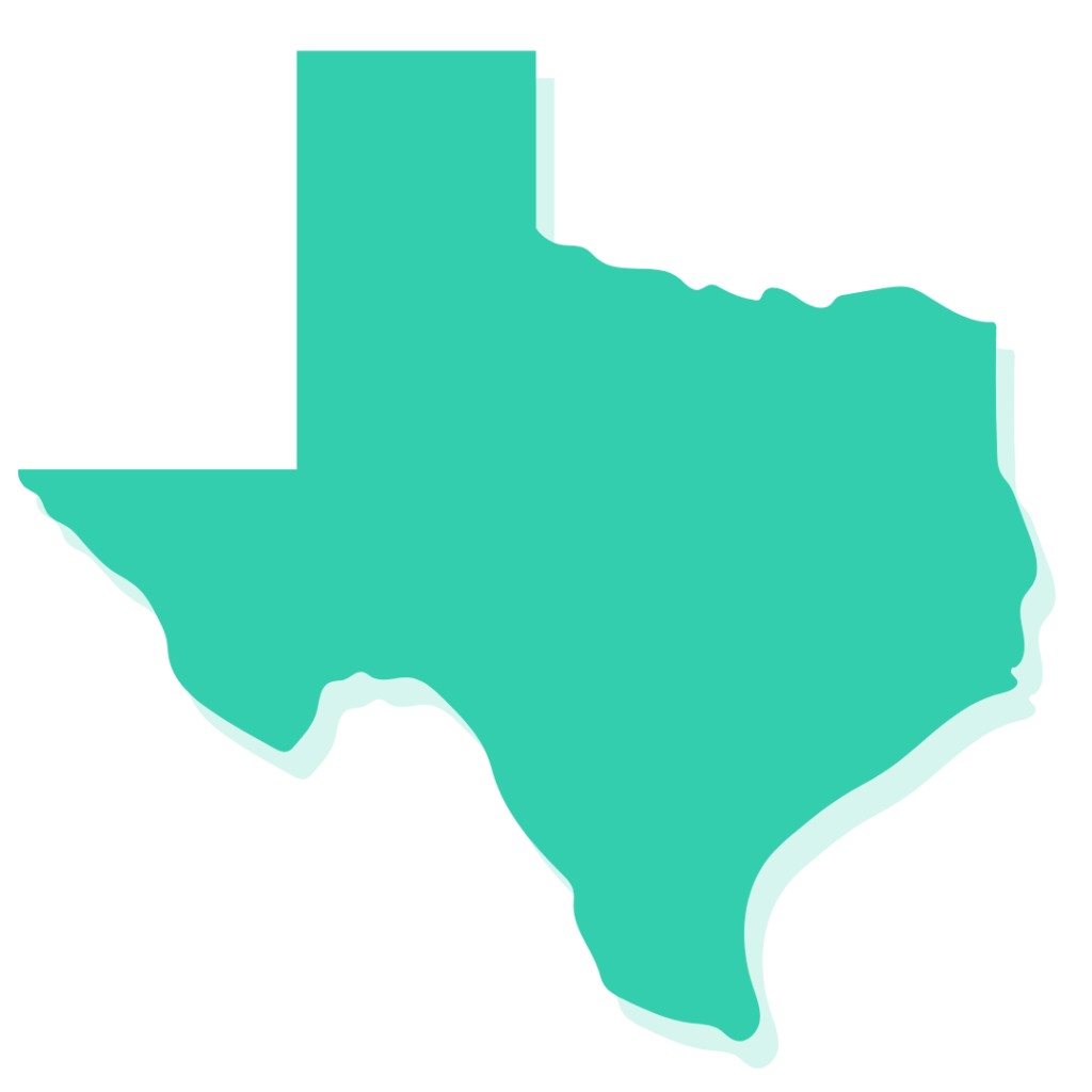texas state outline in green